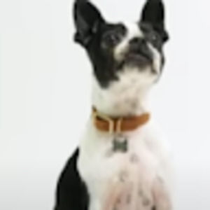 Meet your Posher, Izabella